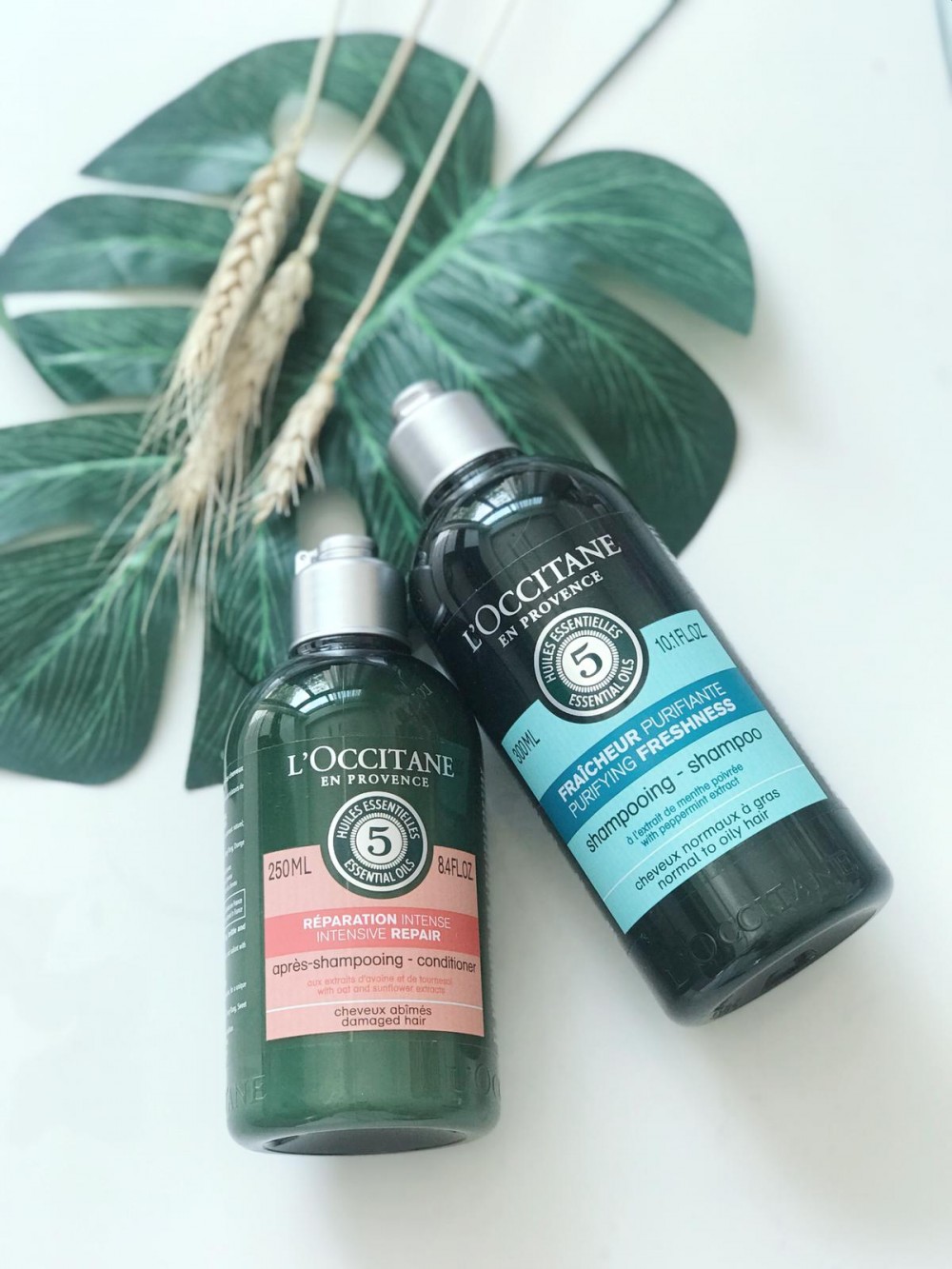 L'OCCITANE