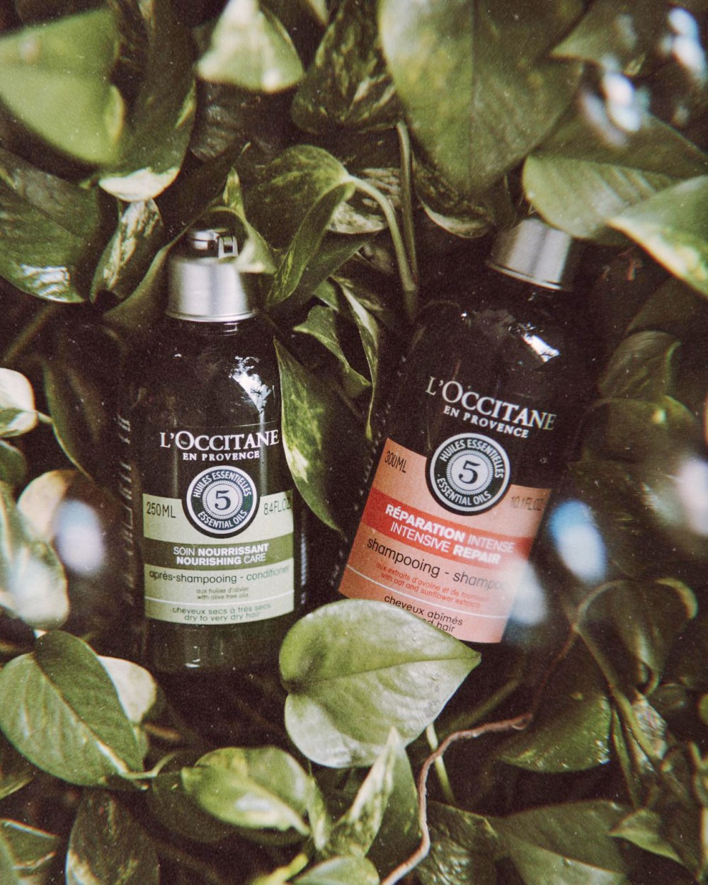 L'OCCITANE