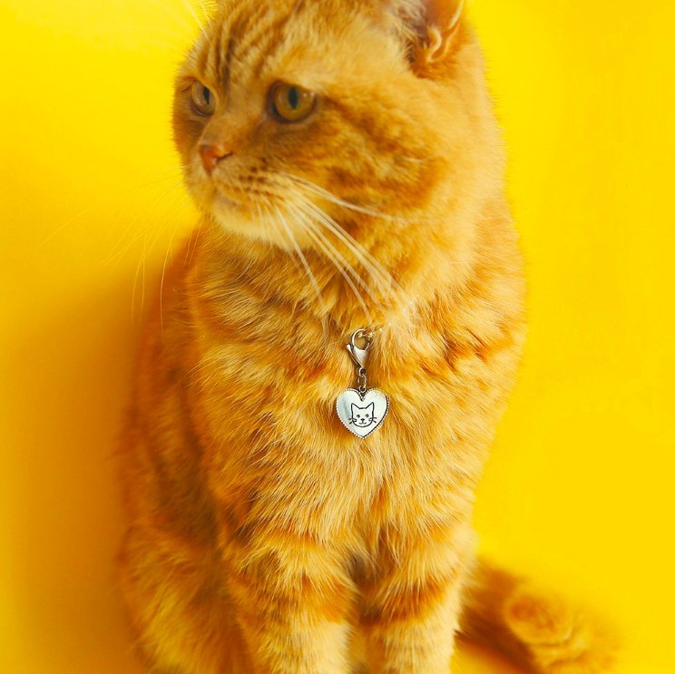 螢幕快照 2019-07-03 下午4.54.17