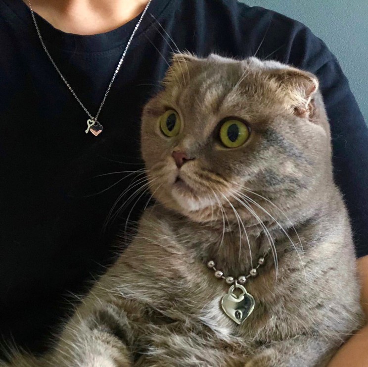 螢幕快照 2019-07-03 下午4.54.24