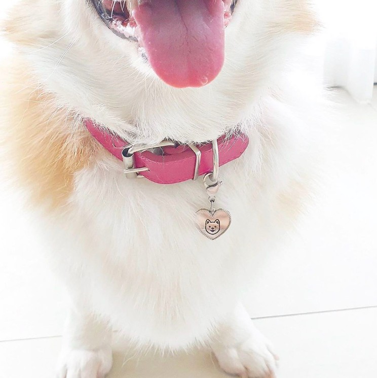 螢幕快照 2019-07-03 下午4.54.32