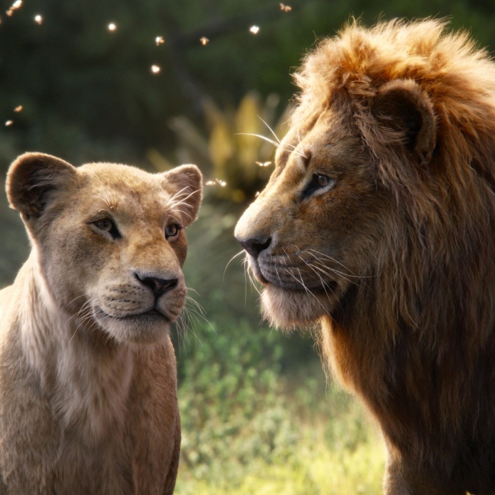 11-the-lion-king.w1200.h1200