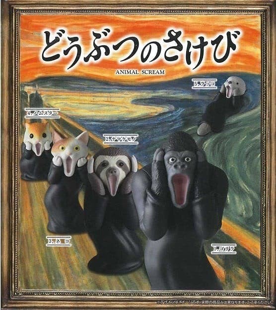 48136205682_0311faff37_z