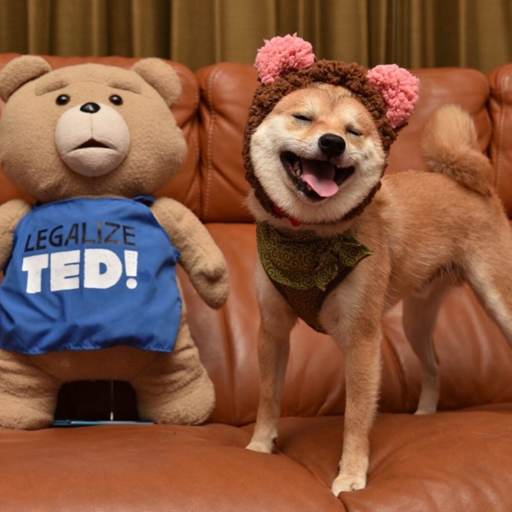 54800893_287640845464633_3102918672018630038_n