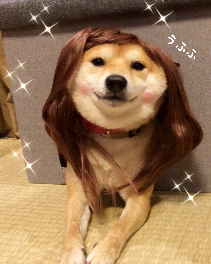 59886167_432824757544905_5953425940366683796_n