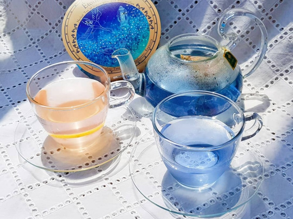 64562648_341160739894708_5173784670329405213_n