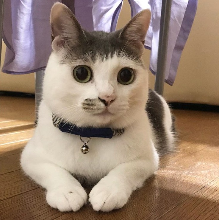 Screen Shot 2019-07-12 at 5.25.31 PM