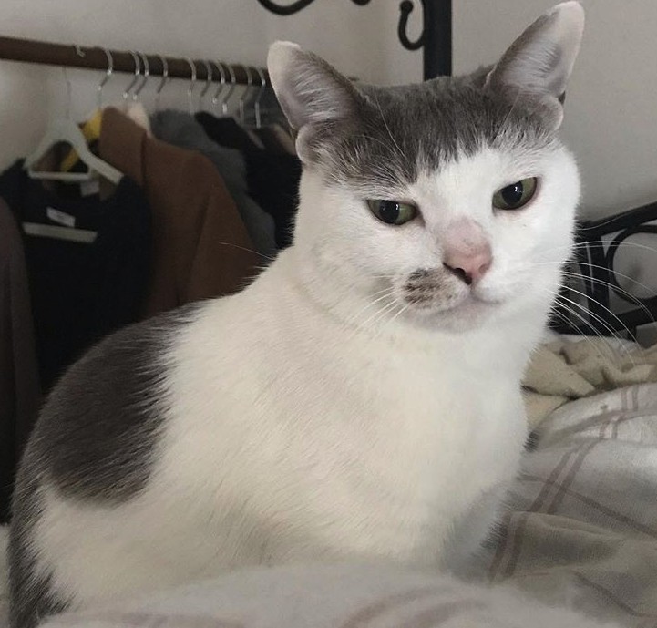 Screen Shot 2019-07-12 at 5.26.31 PM