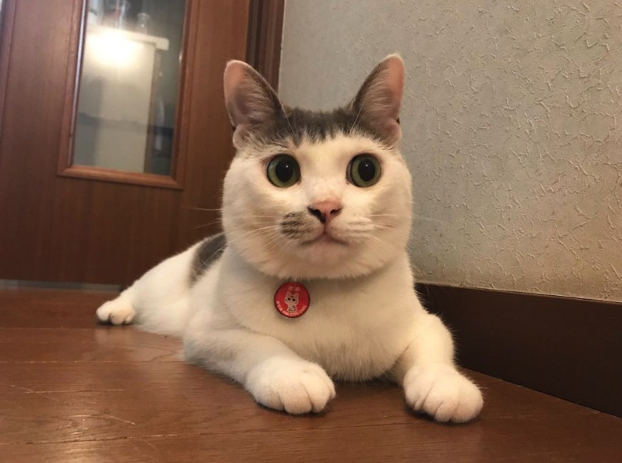 Screen Shot 2019-07-12 at 5.28.23 PM