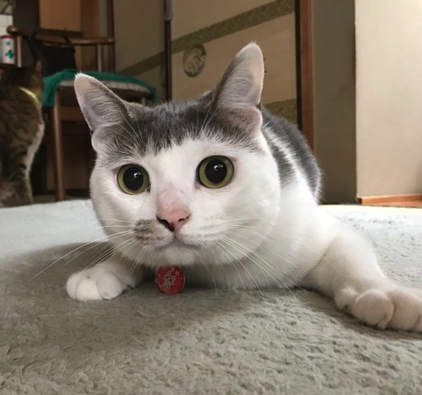 Screen Shot 2019-07-12 at 5.29.30 PM