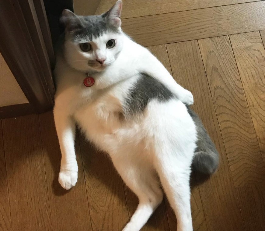 Screen Shot 2019-07-12 at 5.29.55 PM