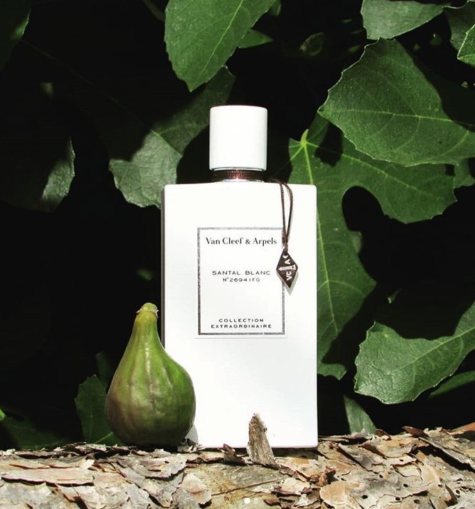 Screen Shot 2019-07-23 at 3.55.55 PM