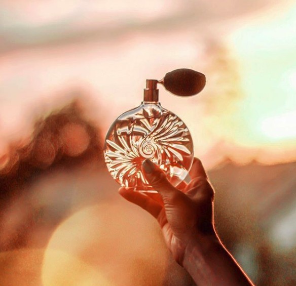 Screen Shot 2019-07-23 at 4.04.13 PM