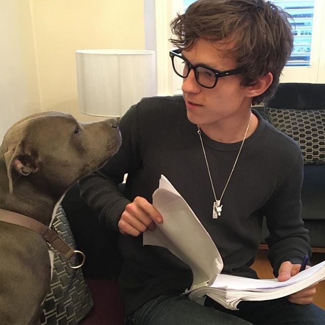 Tom-Holland-His-Dog-Pictures