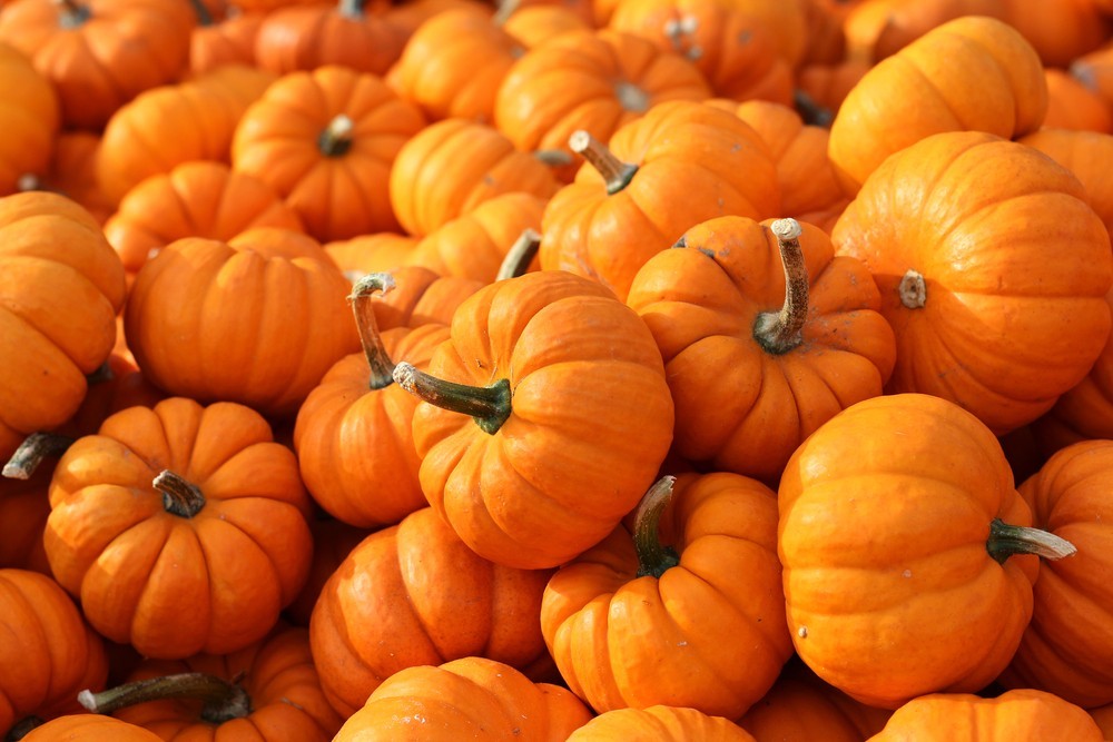 shutterstock_562895437