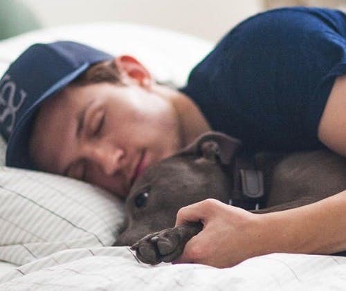 tom-holland-on-bed-with-his-dog_orig