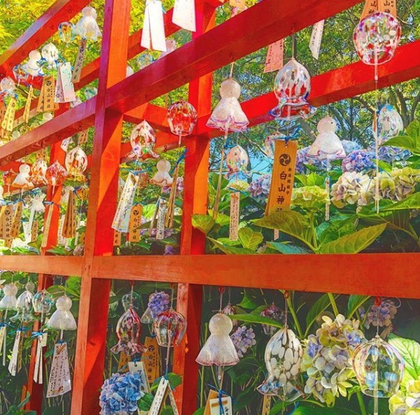 螢幕截圖 2019-08-06 下午3.52.30