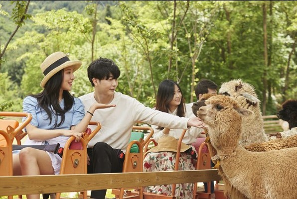 螢幕截圖 2019-08-13 上午11.44.58