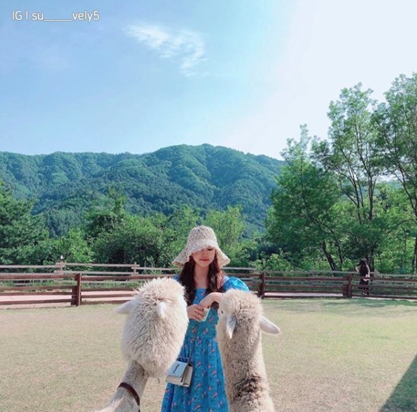 螢幕截圖 2019-08-13 上午11.45.30