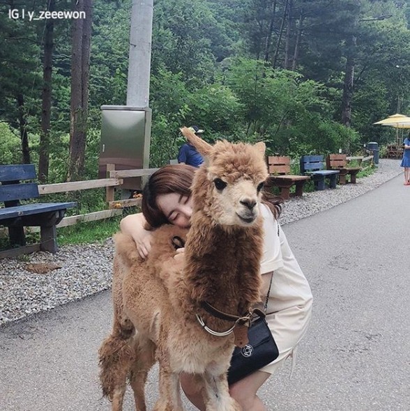 螢幕截圖 2019-08-13 上午11.47.01