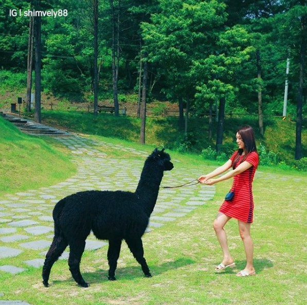 螢幕截圖 2019-08-13 上午11.47.34