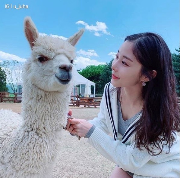 螢幕截圖 2019-08-13 上午11.48.09