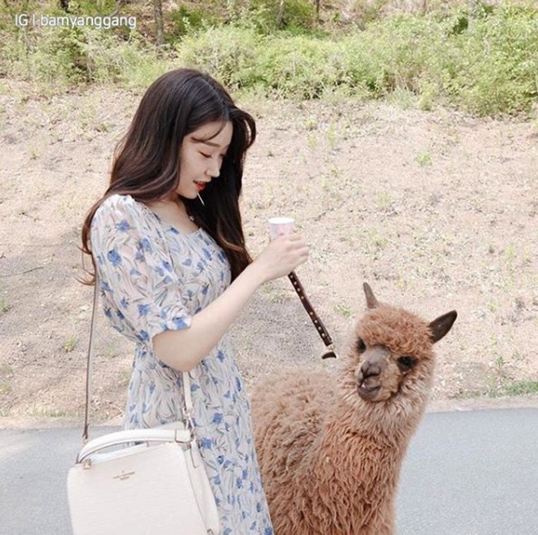 螢幕截圖 2019-08-13 上午11.48.24