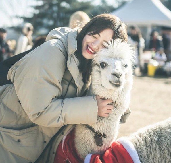 螢幕截圖 2019-08-13 上午11.49.07