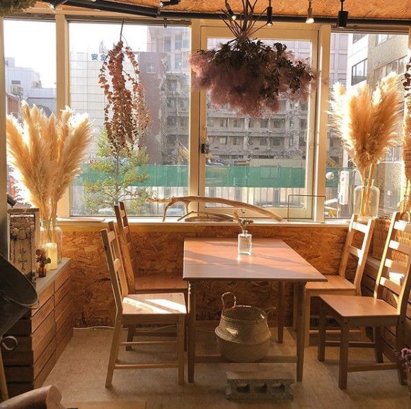 螢幕截圖 2019-08-16 下午5.16.00