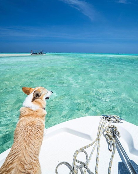 螢幕截圖 2019-08-20 下午3.40.13