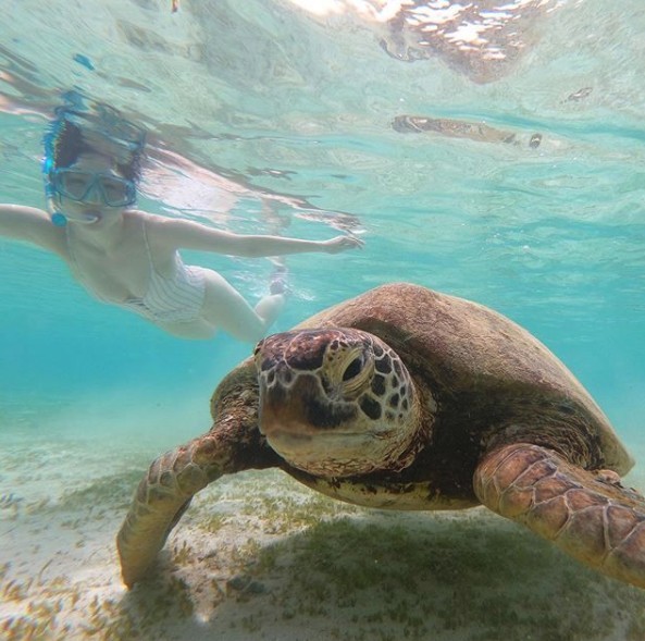 螢幕截圖 2019-08-20 下午3.50.08