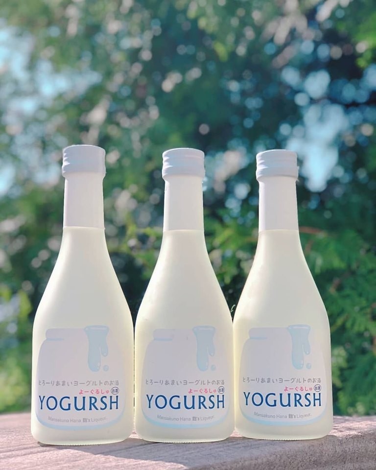 67322361_2683531785010273_8496177478857916416_n