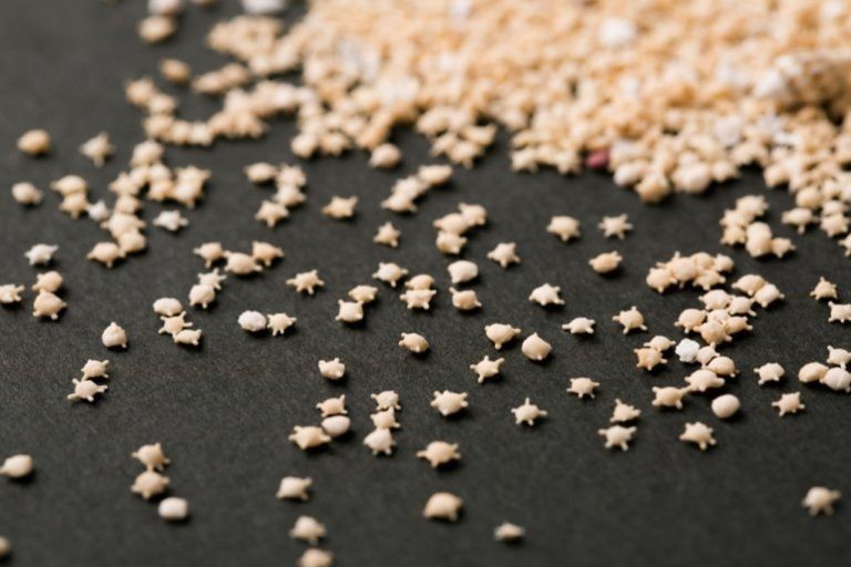 7kuolzp41yo8cs8c0kgkk4skcpw42h4-768x512