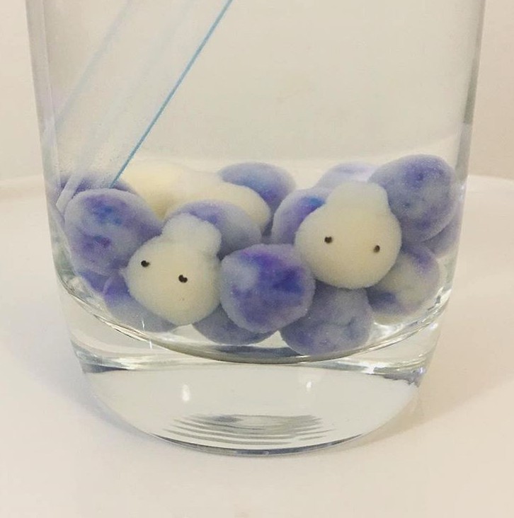 Screen Shot 2019-08-12 at 11.13.36 AM