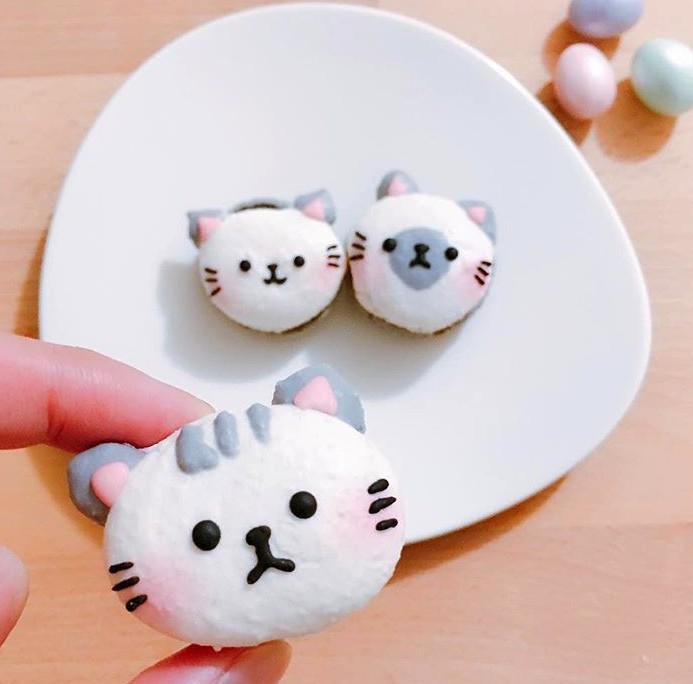 Screen Shot 2019-08-12 at 11.41.47 AM