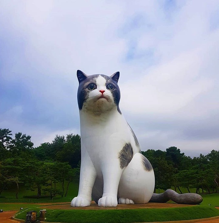 Screen Shot 2019-08-16 at 12.22.28 PM