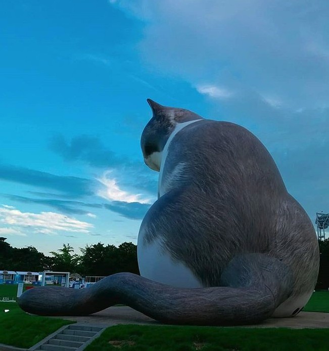 Screen Shot 2019-08-16 at 12.24.41 PM