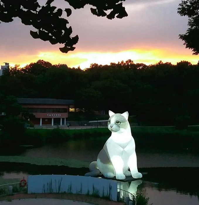 Screen Shot 2019-08-16 at 12.24.54 PM