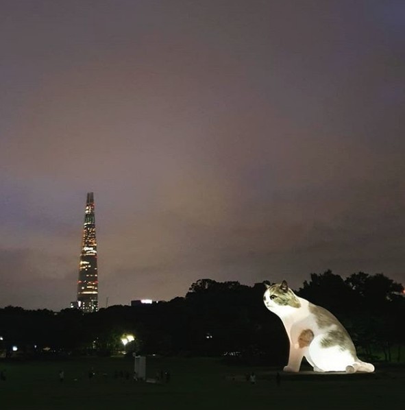 Screen Shot 2019-08-16 at 12.25.15 PM