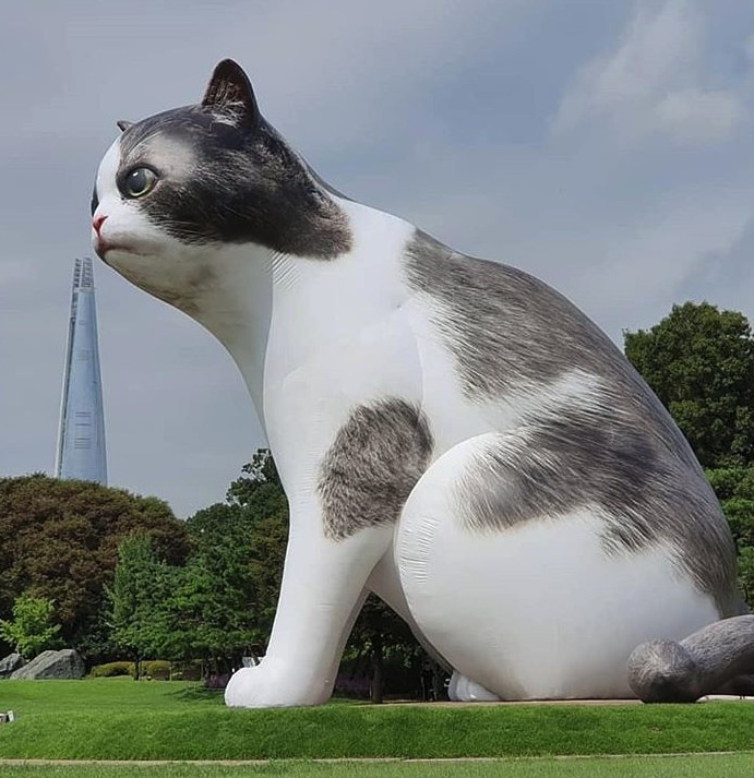 Screen Shot 2019-08-16 at 12.25.51 PM