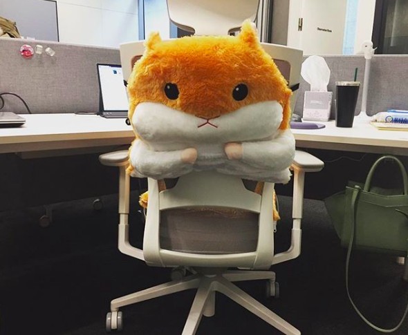 螢幕快照 2019-09-18 下午5.17.27