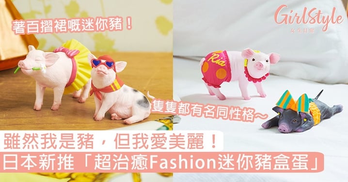 雖然我是豬，但我愛美麗！日本新推「超治癒迷你豬盒蛋」，著百摺裙、帶闊邊帽超可愛！