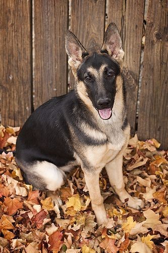 255f9520e330e2c9ed3ea5bd53a144da