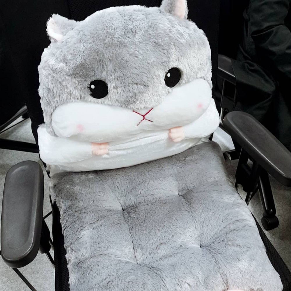 44741340_270437063675968_8596992935476385394_n