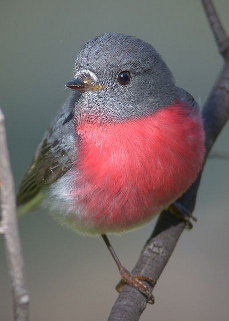 4739503a91a4f2e06625413c9d54254f