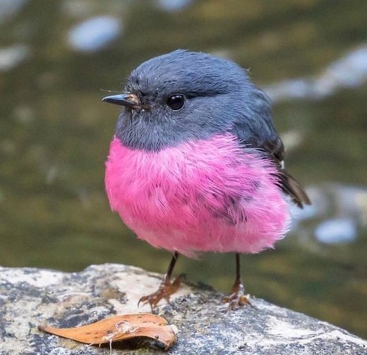 5120eec92716963ae365276c7871b62f