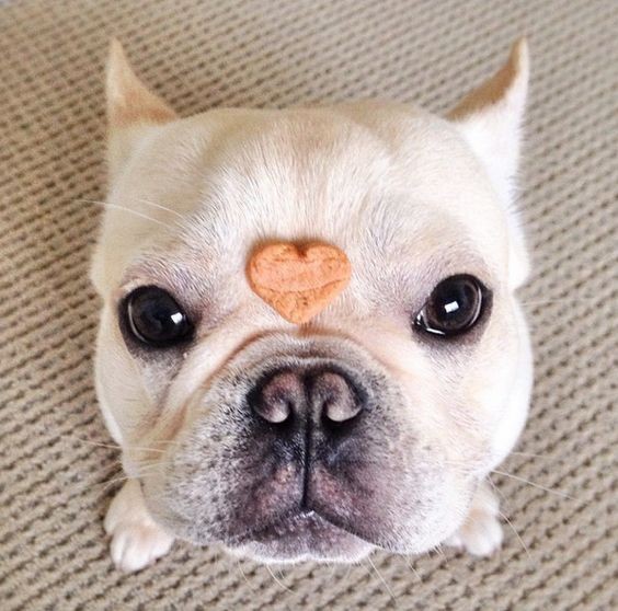 6b31e4904001b48d82be80680f928dd1