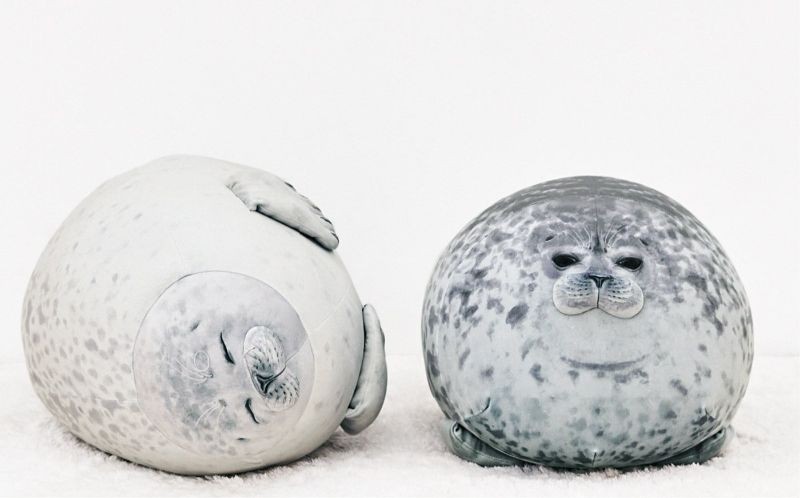 海豹抱枕的超萌樣子俘虜了不少女生