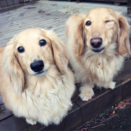 80a0c0beba7a56fafc7a63f67cc5f218