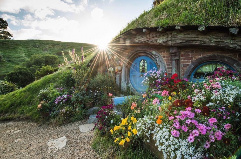 Screen Shot 2019-09-11 at 3.43.06 PM